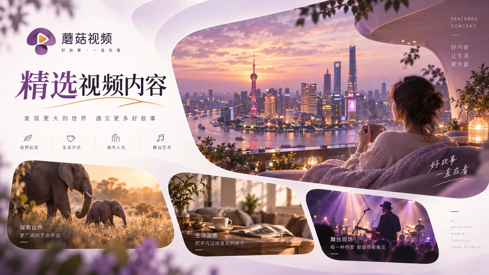 蘑菇视频在线观看内容浏览与片单索引